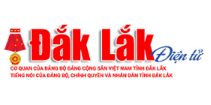 LIÊN KẾT WEBSITE