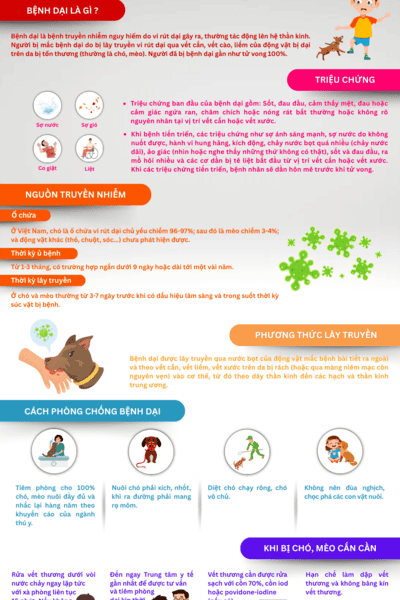 Những điều cần biết về bệnh dại