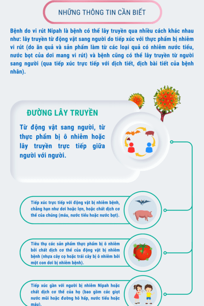 Virus Nipah - Những thông tin cần biết