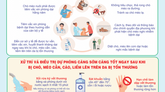 upload/1002842/20241121/BENH_DAI_NHUNG_DIEU_CAN_BIET_ca53a5f911.png