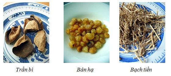 Đàm ẩm làm tổn thương phế