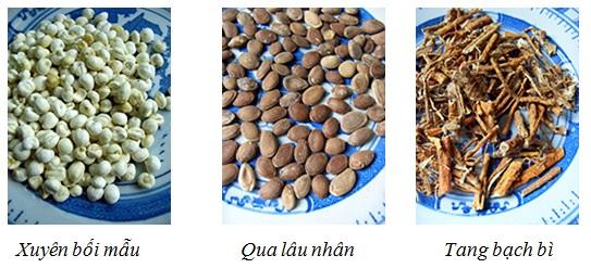 Đàm nhiệt uất phế